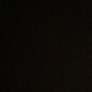 Meet your Posher, Roger